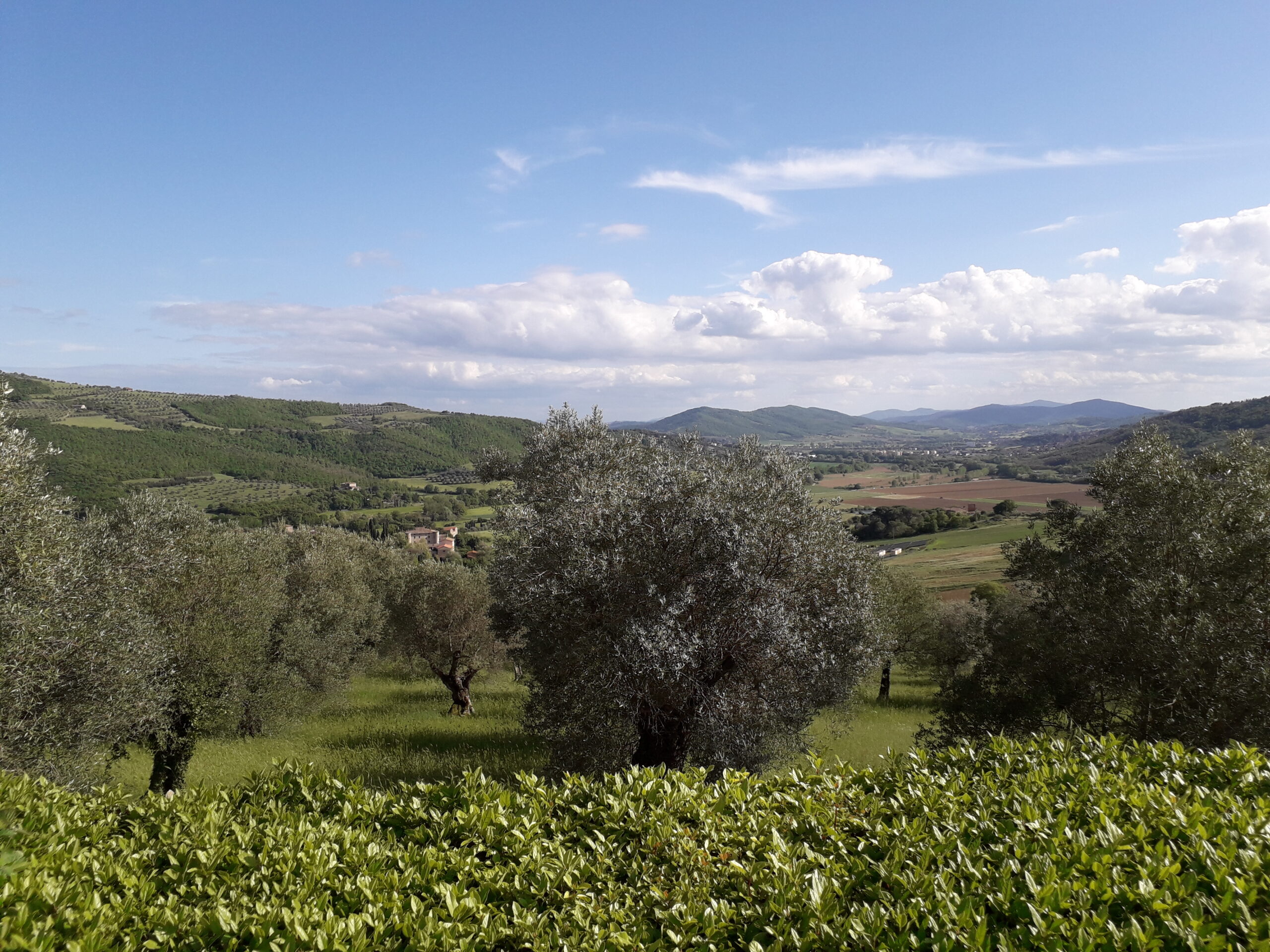 Esterni - Poggio Colpiccione